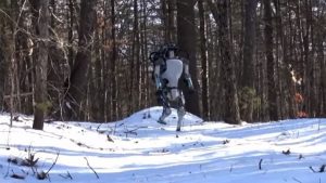 Robots dans la neige