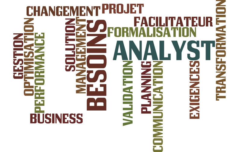 les enjeux de la business analysis, le rôle du business analyst
