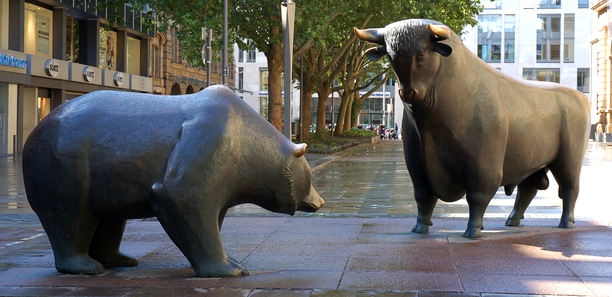 MiFID 2 Bull and Bear