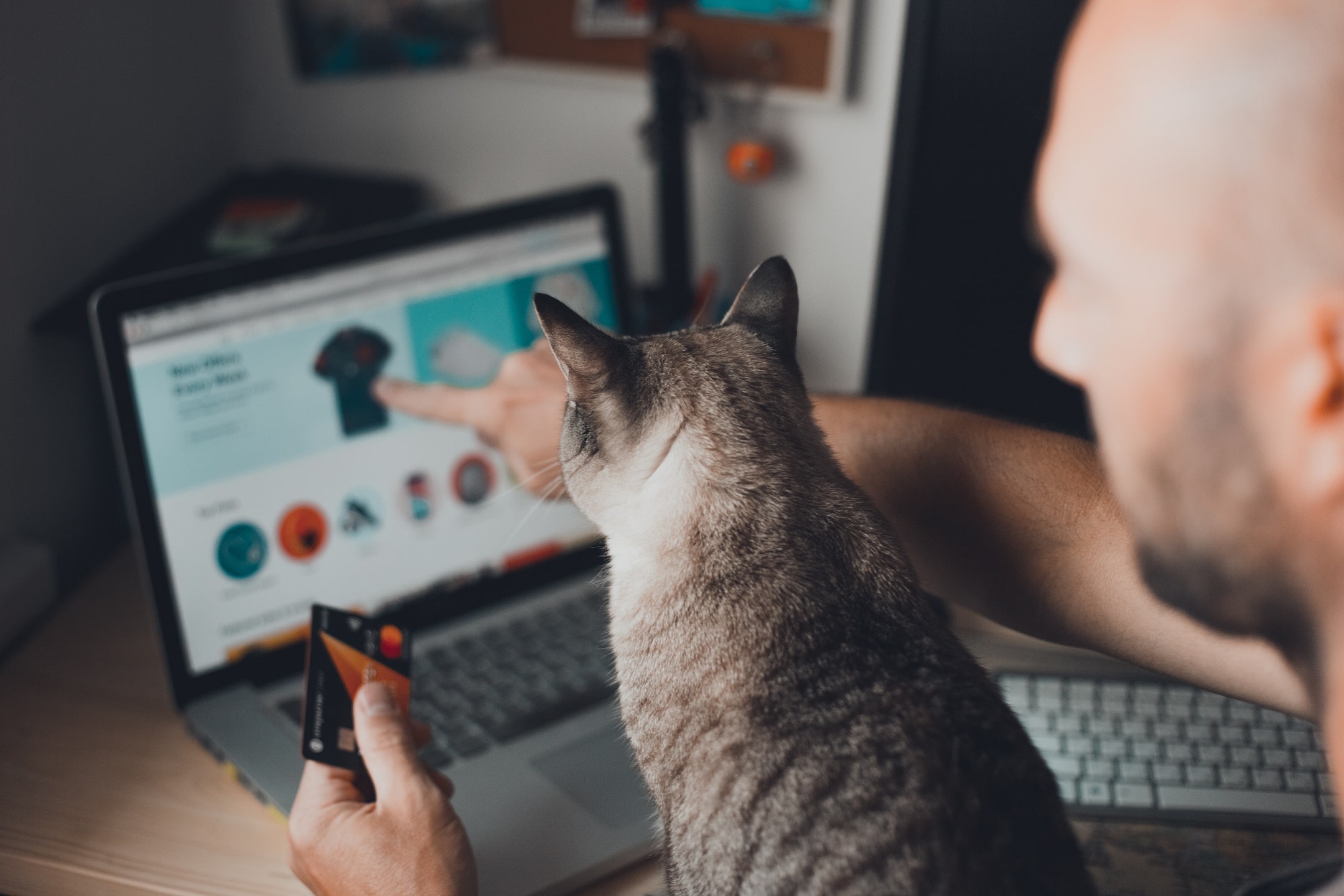 Site e-commerce avec de l'e-merchandising et un chat qui surfe sur le site